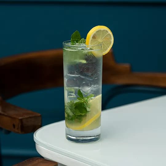 Virgin Mojito photo
